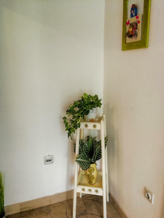 Apartman Damir Sumartin Exterior foto